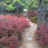  Acadia National Park, Maine